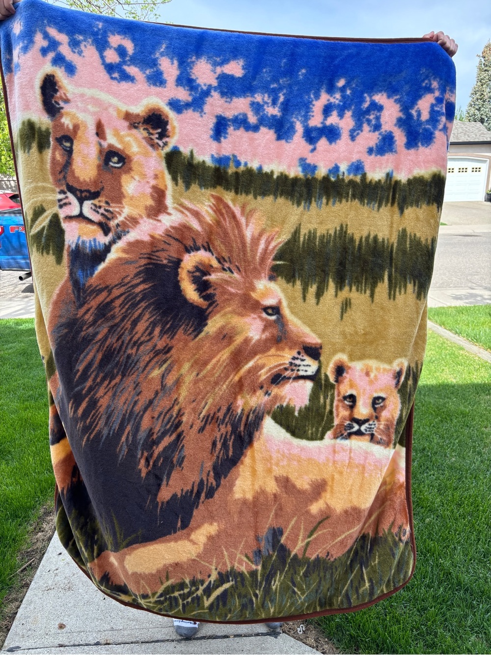 Lion Family Plush Fleece Throw Blanket Cozy Fireplace TV Blanket